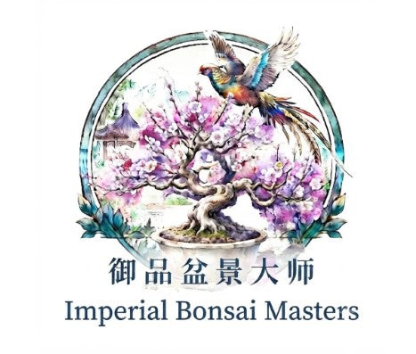  Imperial Bonsai Master