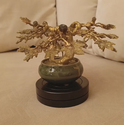Imperial Fig Bonsai — Ceramic & Gold Edition