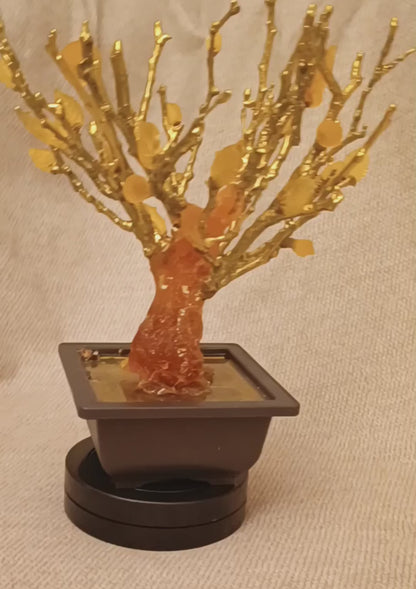 Imperial Bonsai fig tree . From tree resin