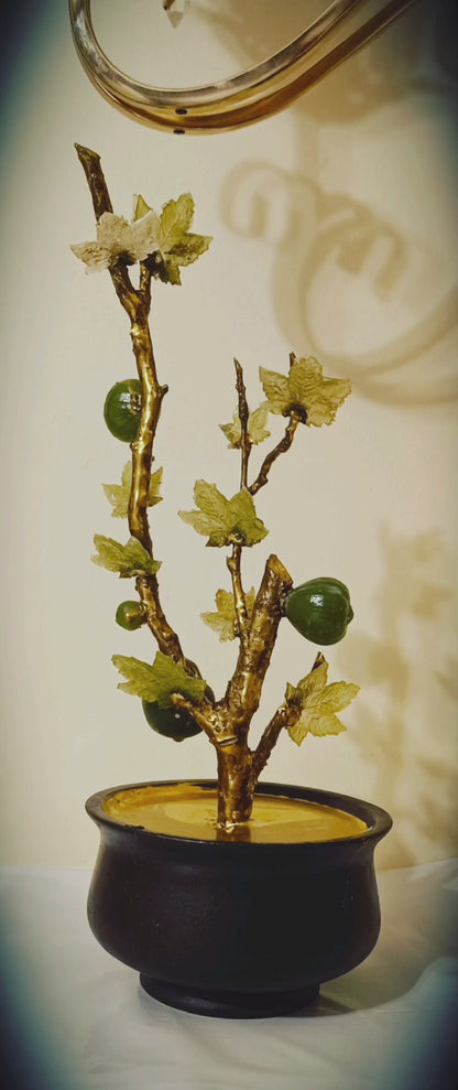 Grand Emerald Fig Bonsai — Collector's Masterpiece