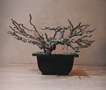 Imperial Silver Bonsai — Prestige Collection