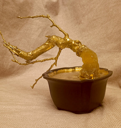 The almond tree