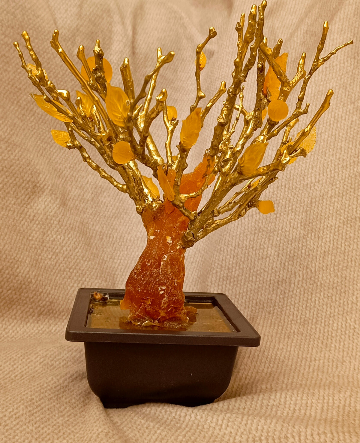 Imperial Bonsai fig tree . From tree resin