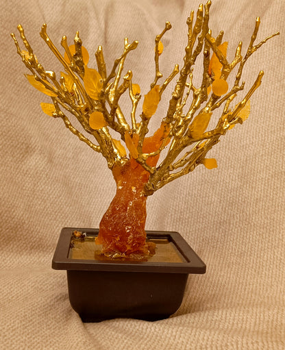 Imperial Bonsai fig tree . From tree resin