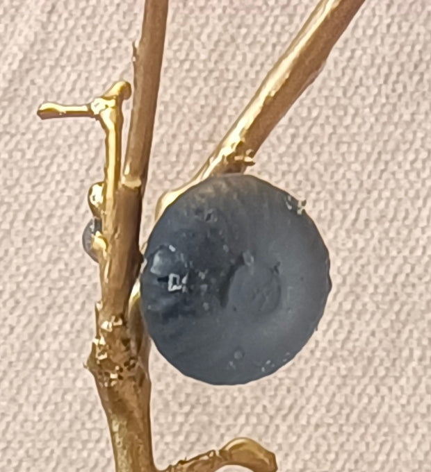 Blue Brass Fig Tree