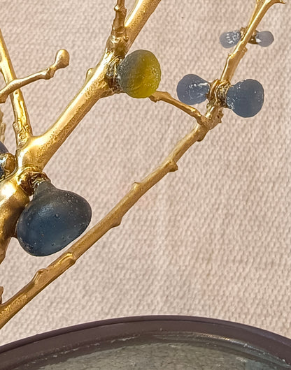 Blue Brass Fig Tree