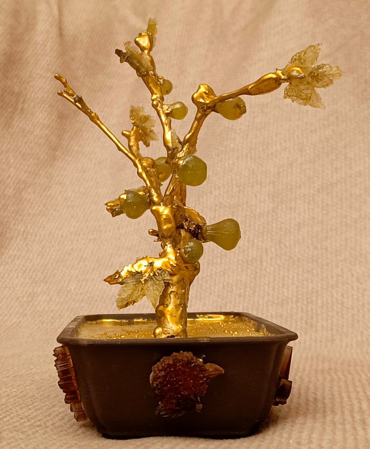 Emerald Fig Bonsai — Imperial Green Edition