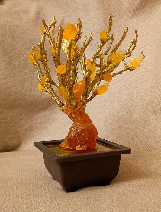 Imperial Bonsai fig tree . From tree resin