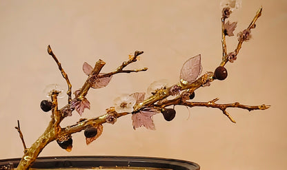 Imperial Almond Bonsai — Grand Gold & Glass