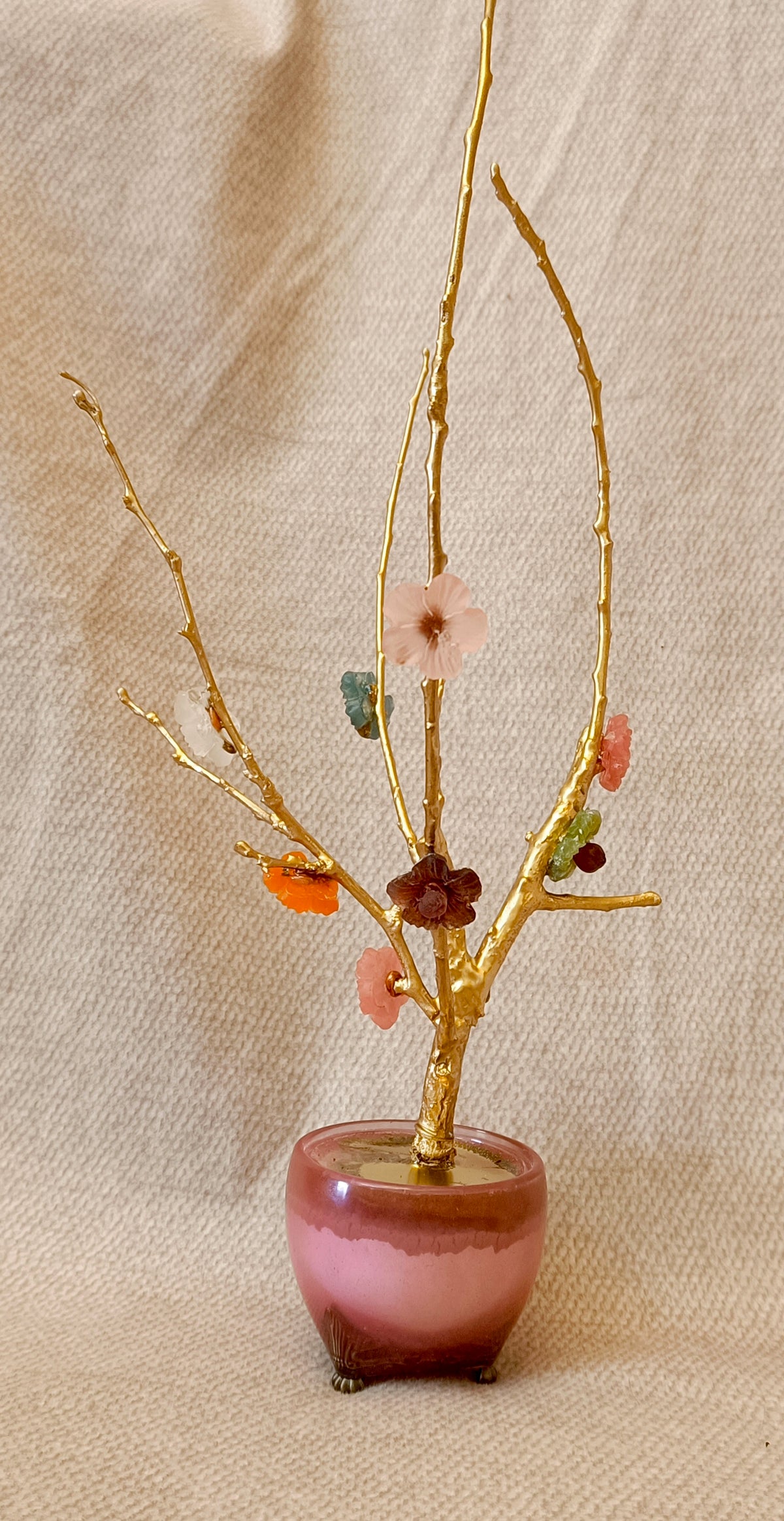 Golden Apple Tree