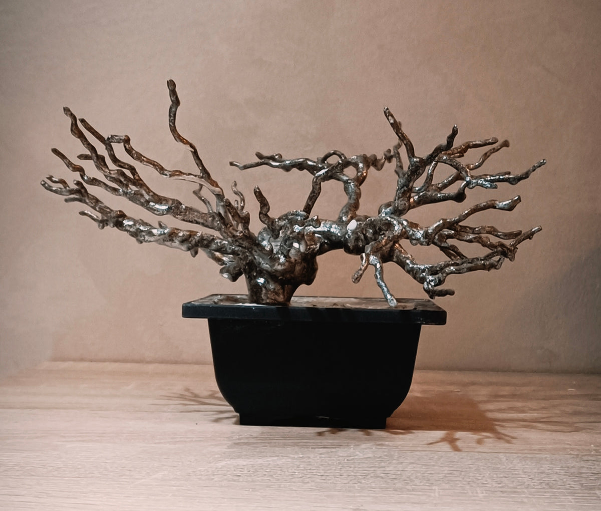 Imperial Silver Bonsai — Prestige Collection