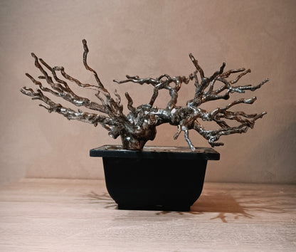 Imperial Silver Bonsai — Prestige Collection