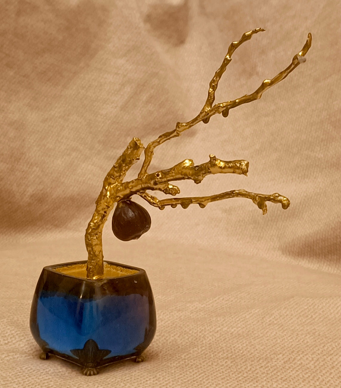 Imperial copper Bonsai tree