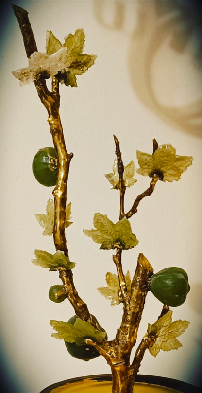 Grand Emerald Fig Bonsai — Collector's Masterpiece