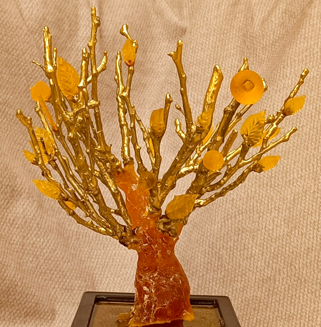 Imperial Bonsai fig tree . From tree resin