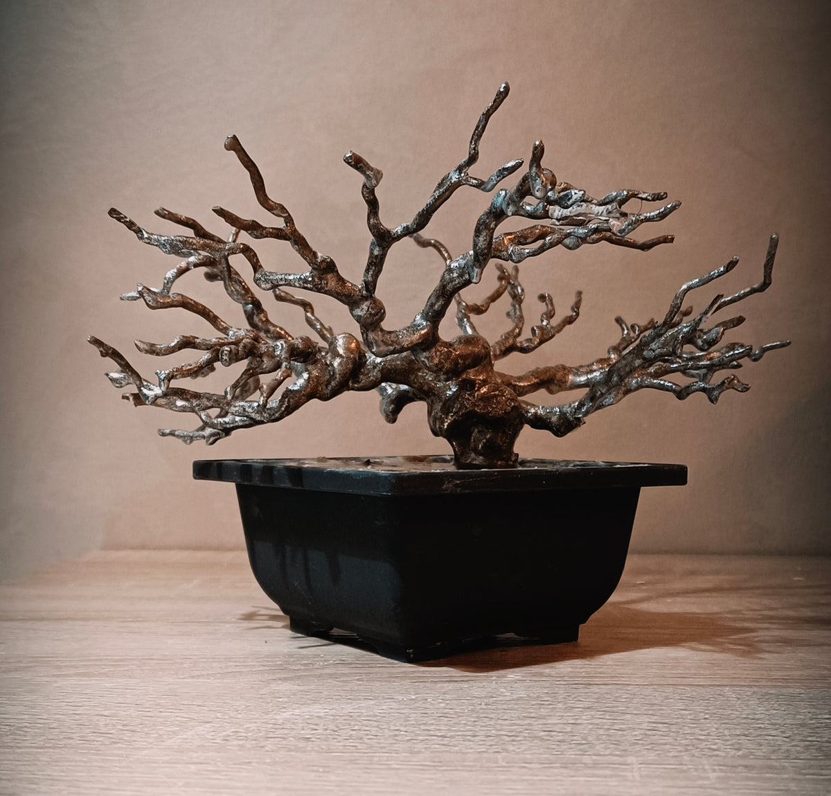 Imperial Silver Bonsai — Prestige Collection