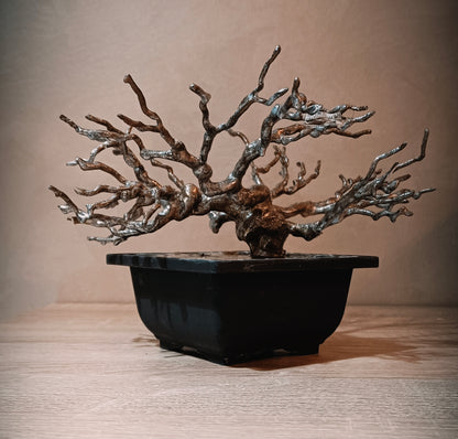 Imperial Silver Bonsai — Prestige Collection