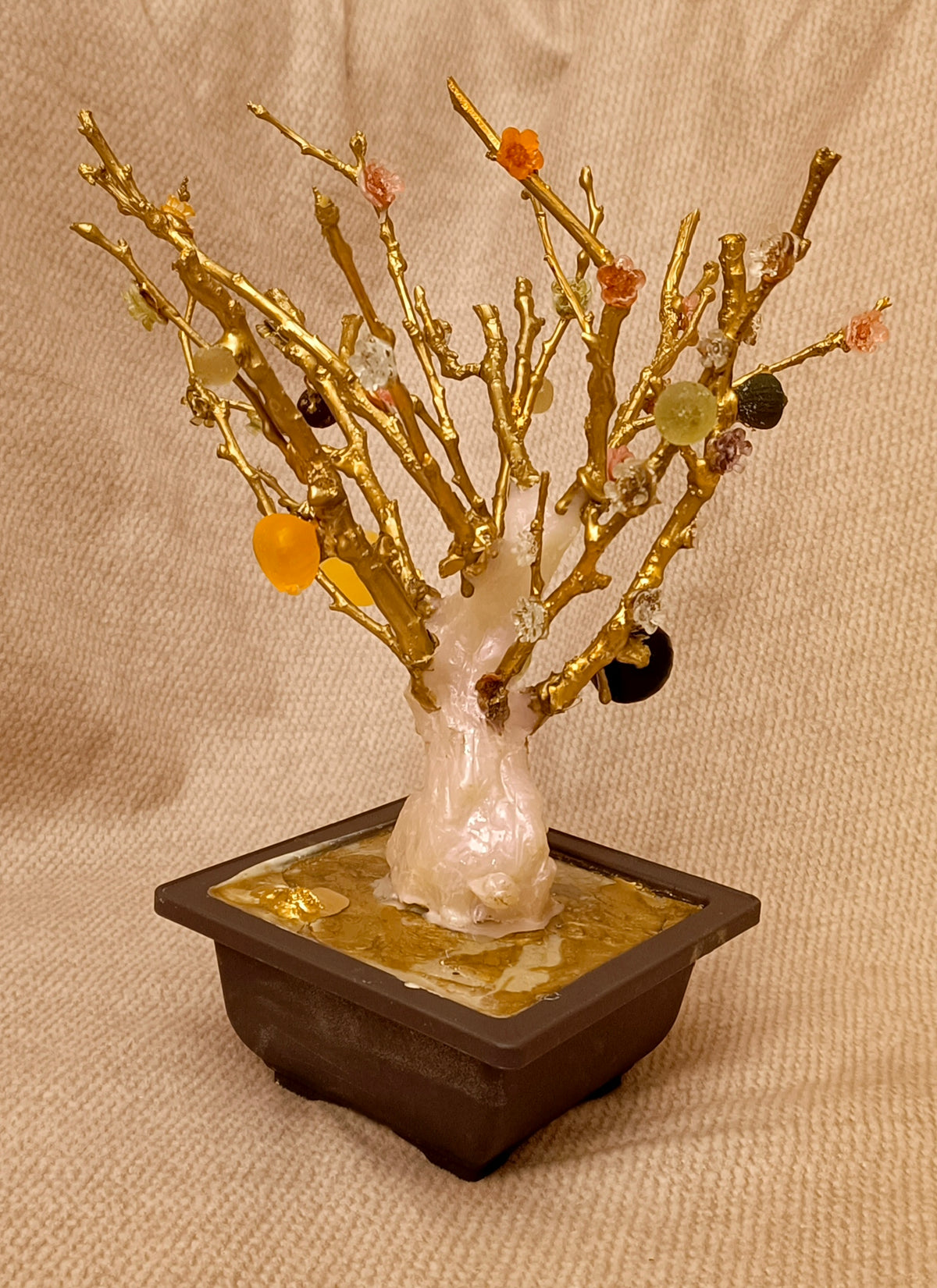 Imperial Bonsai fig tree . from seashell glass