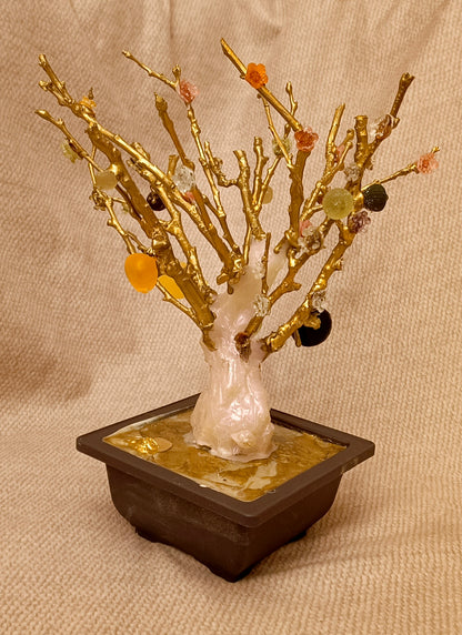 Imperial Bonsai fig tree . from seashell glass