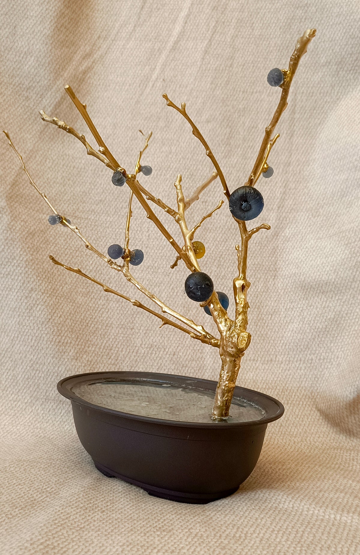 Blue Brass Fig Tree
