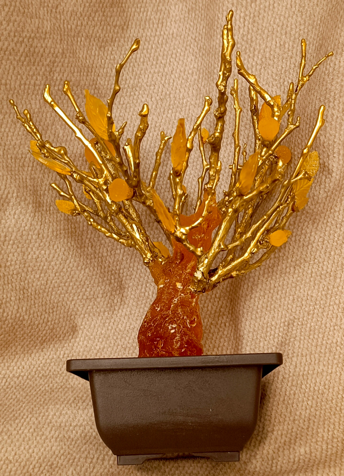 Imperial Bonsai fig tree . From tree resin