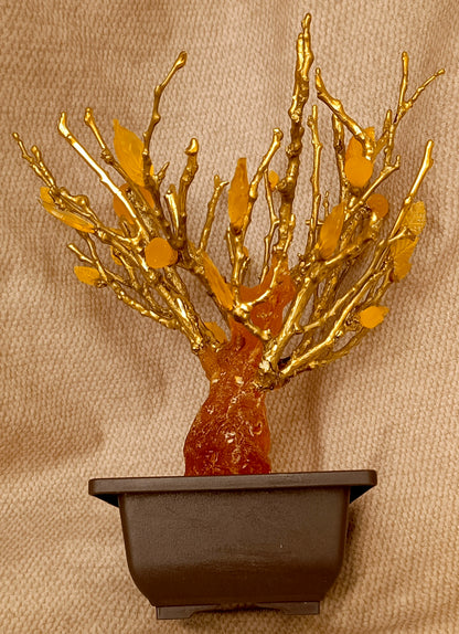 Imperial Bonsai fig tree . From tree resin