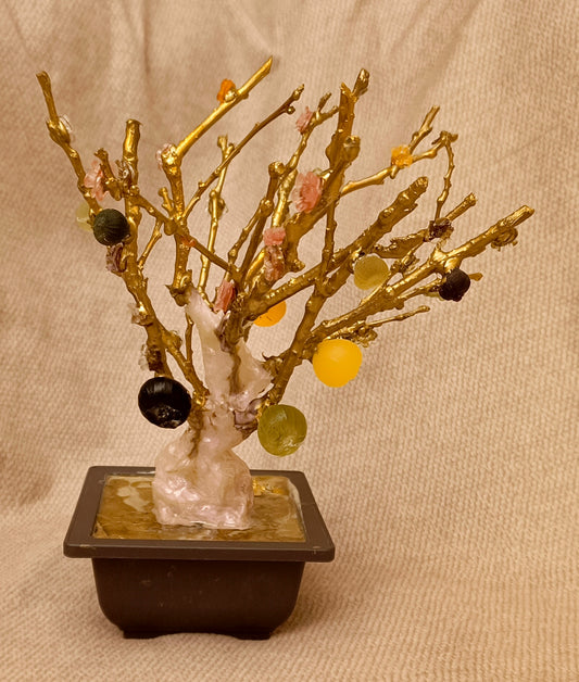 Imperial Bonsai fig tree . from seashell glass