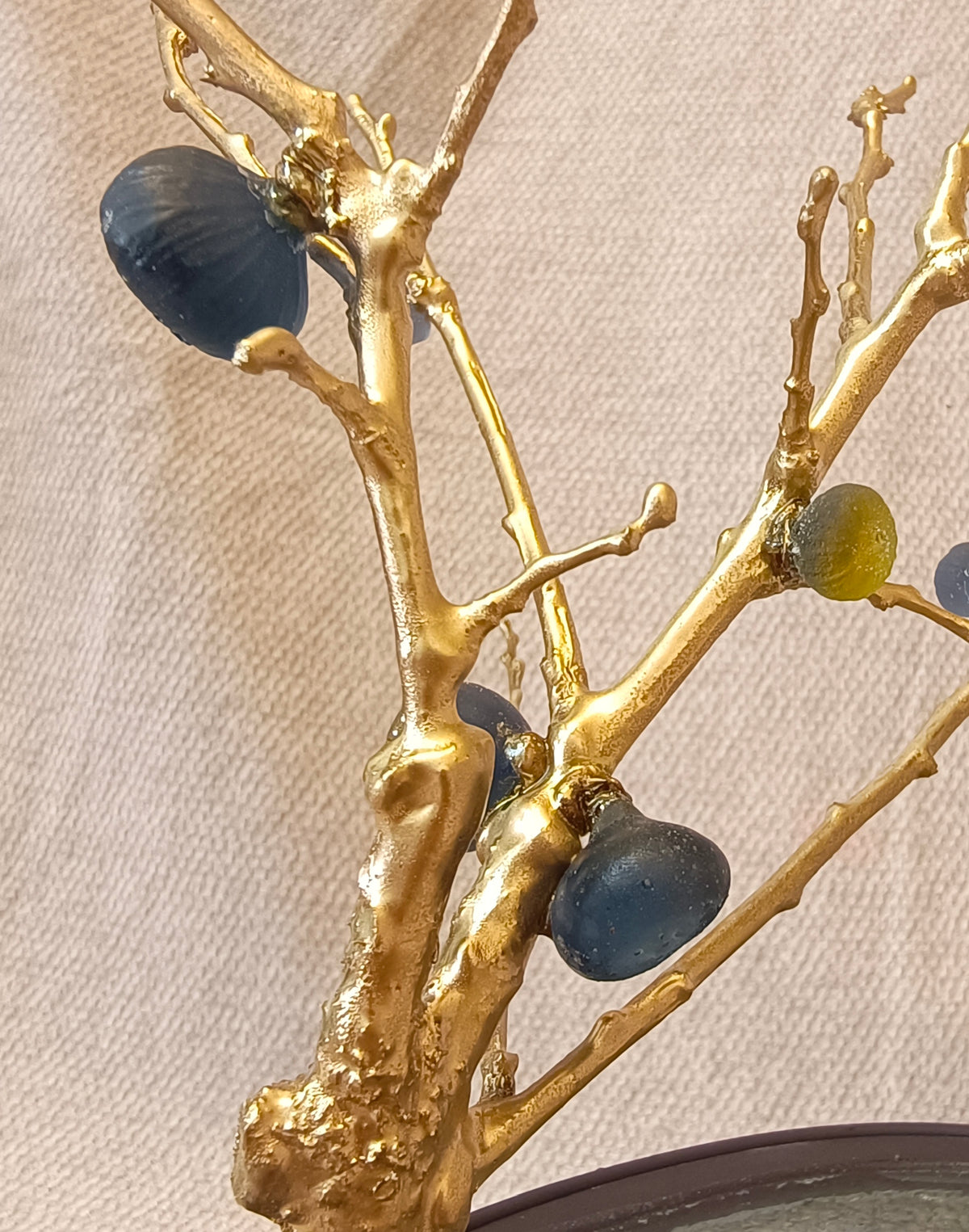 Blue Brass Fig Tree