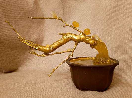 The almond tree