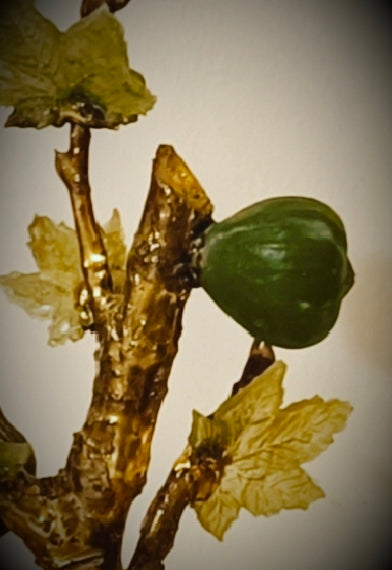 Grand Emerald Fig Bonsai — Collector's Masterpiece