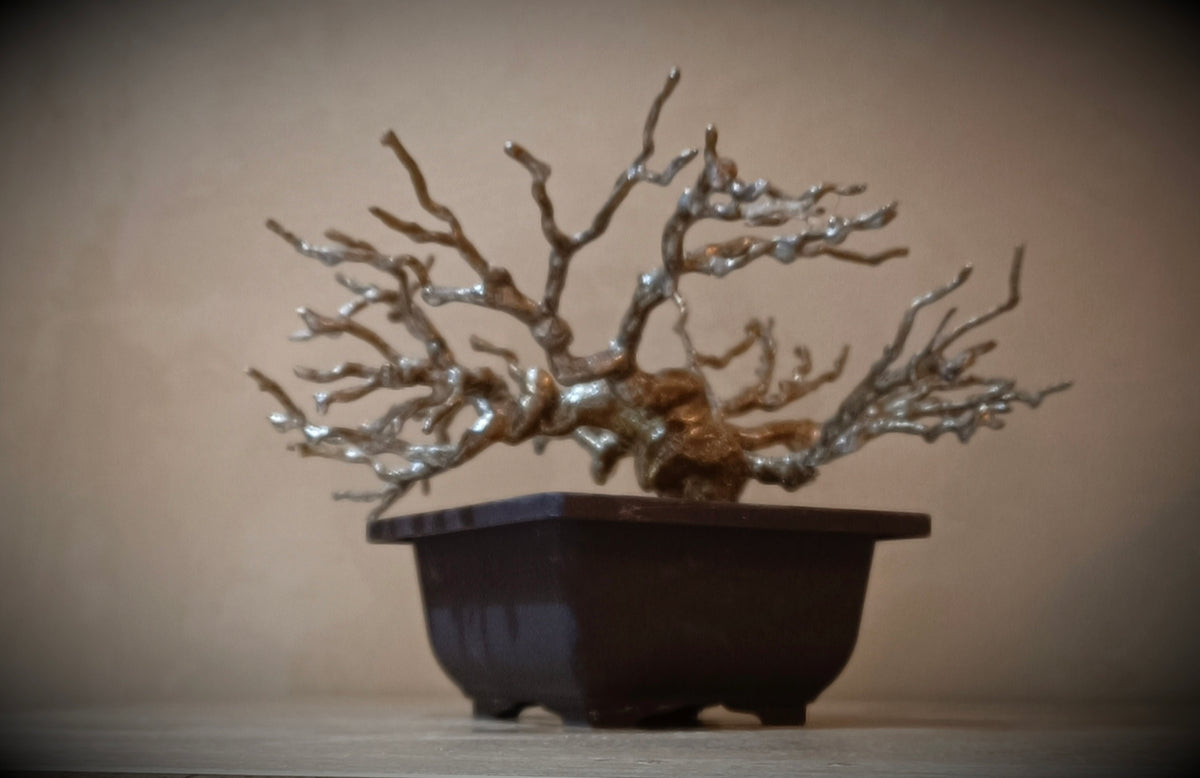 Imperial Silver Bonsai — Prestige Collection