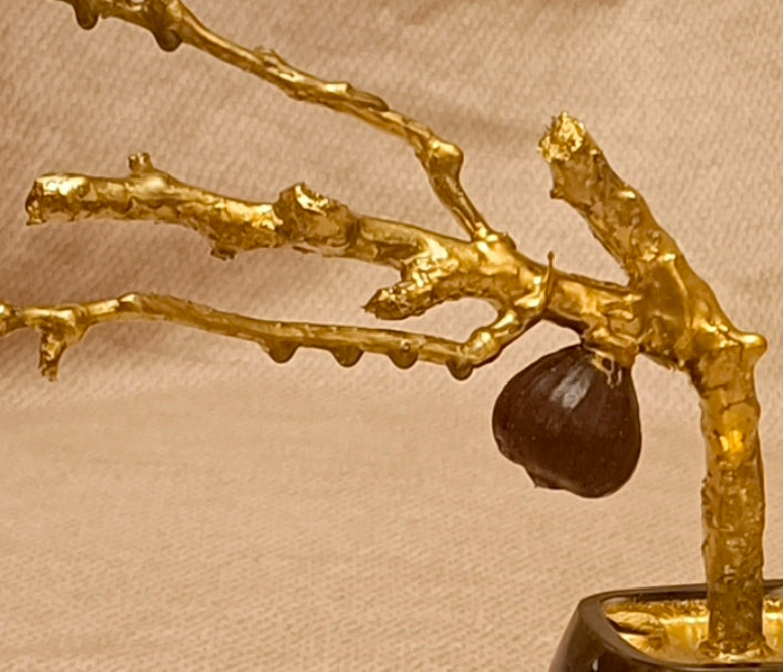 Imperial copper Bonsai tree