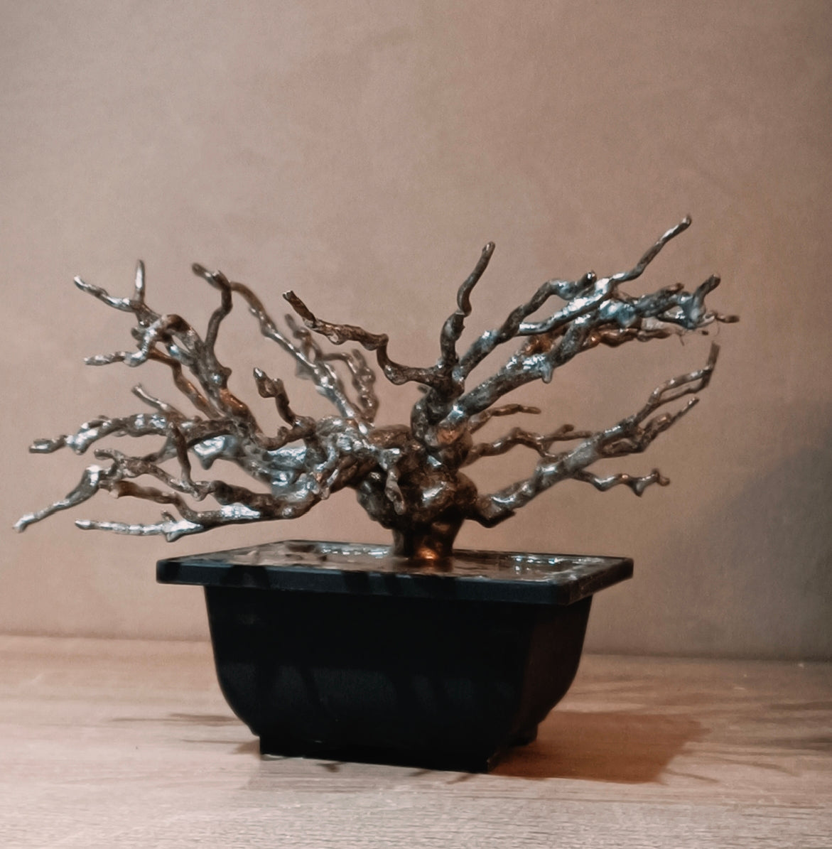 Imperial Silver Bonsai — Prestige Collection