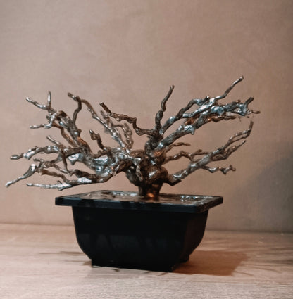 Imperial Silver Bonsai — Prestige Collection