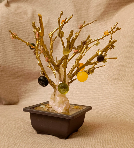 Imperial Bonsai fig tree . from seashell glass