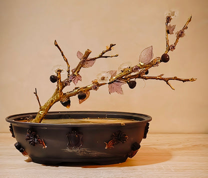 Imperial Almond Bonsai — Grand Gold & Glass