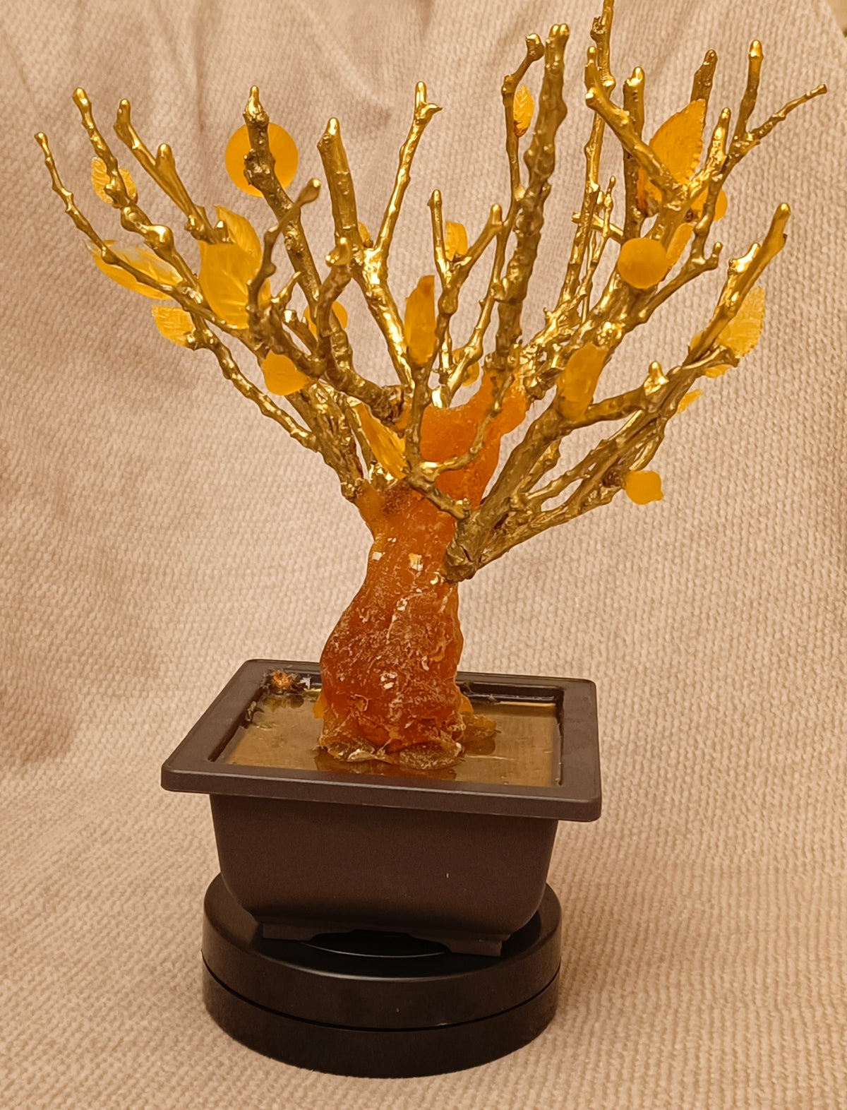 Imperial Bonsai fig tree . From tree resin