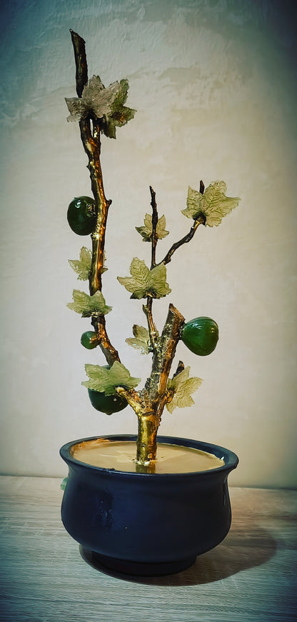 Grand Emerald Fig Bonsai — Collector's Masterpiece