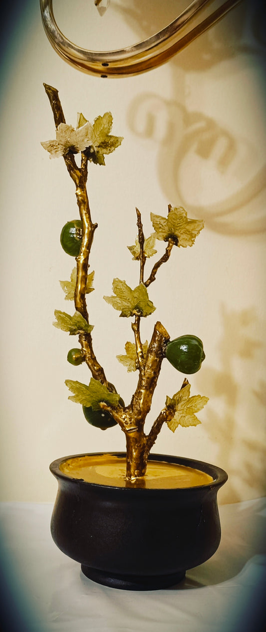 Grand Emerald Fig Bonsai — Collector's Masterpiece