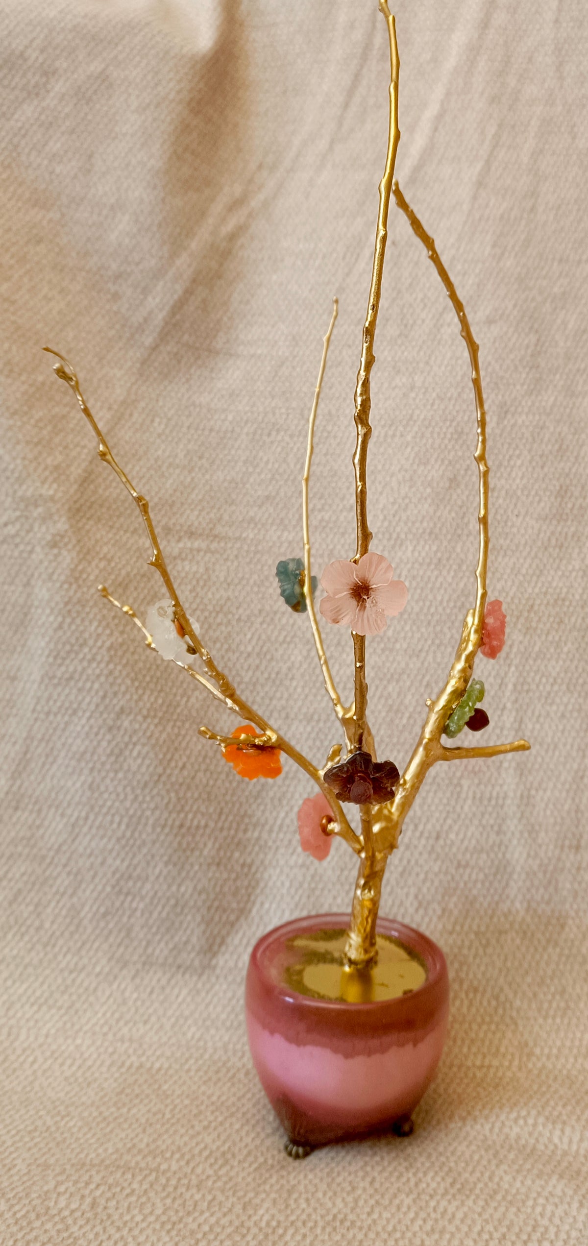 Golden Apple Tree