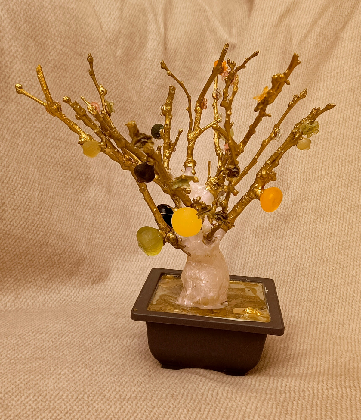 Imperial Bonsai fig tree . from seashell glass