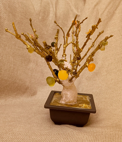 Imperial Bonsai fig tree . from seashell glass