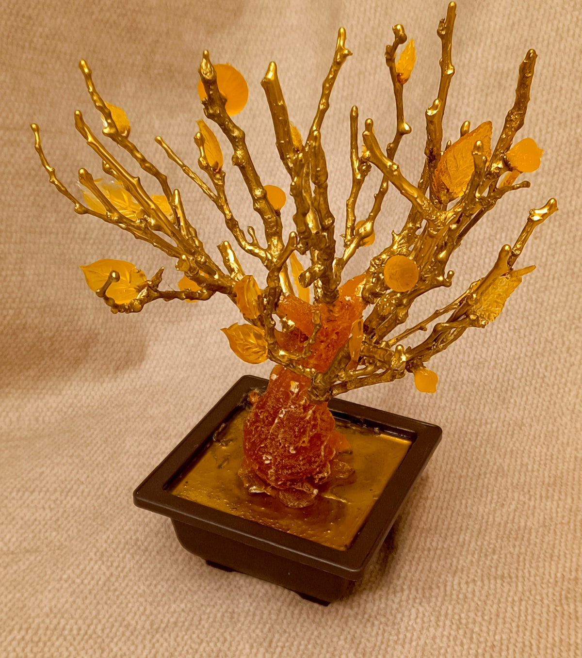 Imperial Bonsai fig tree . From tree resin