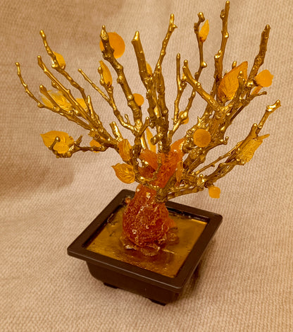 Imperial Bonsai fig tree . From tree resin