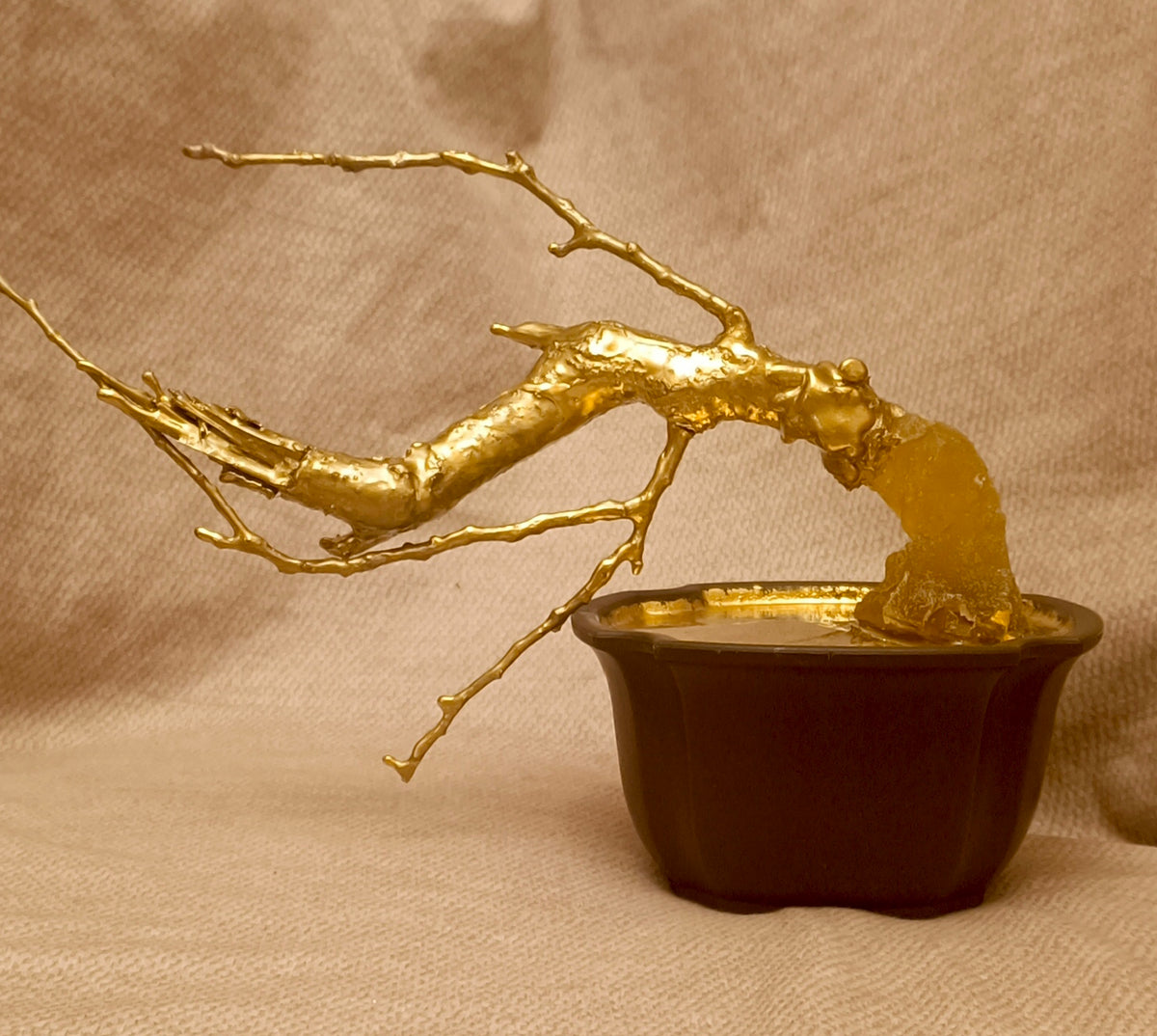 The almond tree