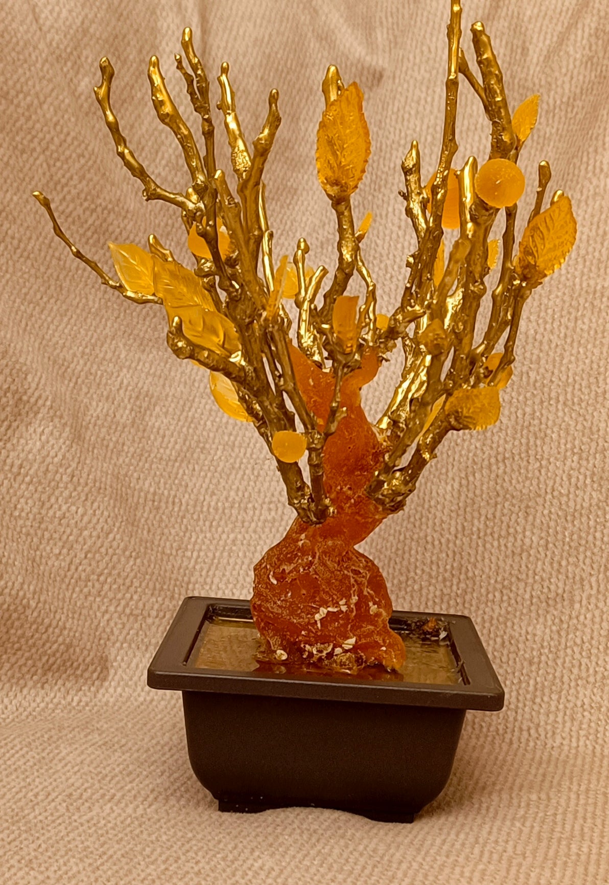 Imperial Bonsai fig tree . From tree resin