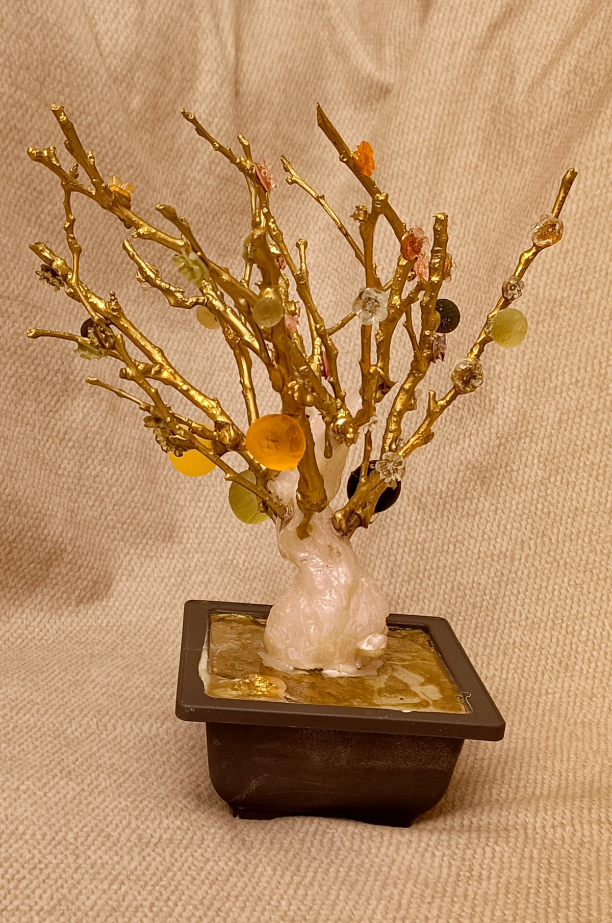 Imperial Bonsai fig tree . from seashell glass