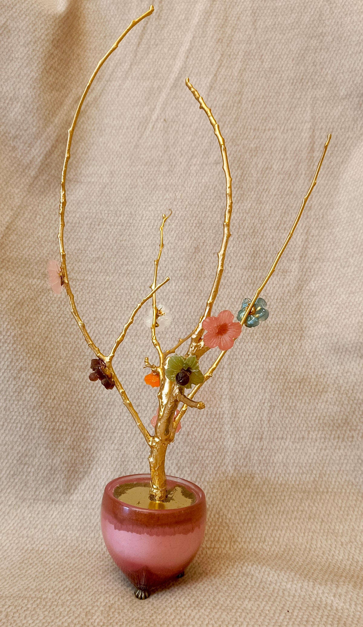 Golden Apple Tree