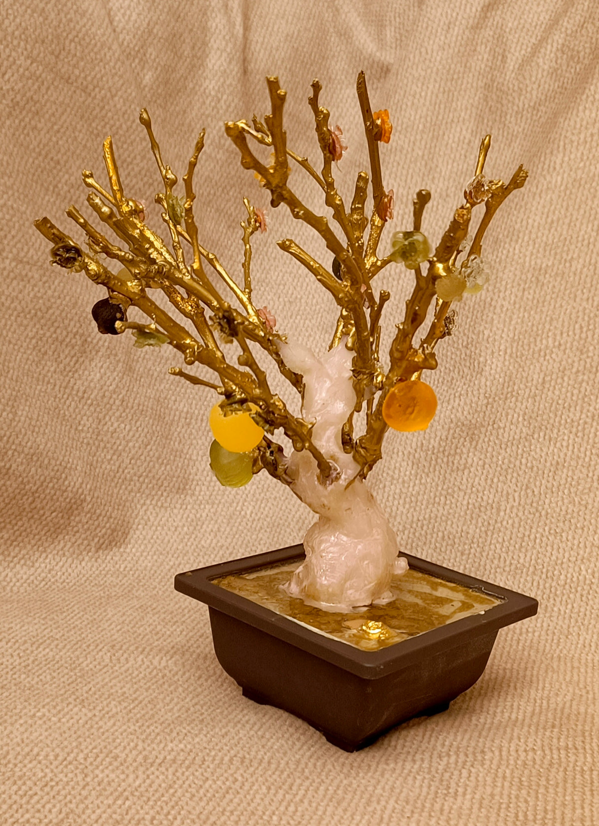 Imperial Bonsai fig tree . from seashell glass