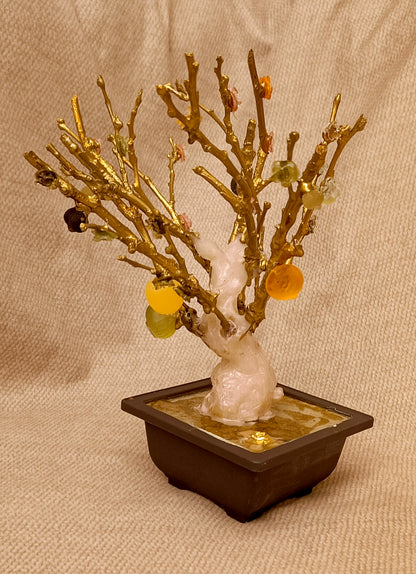 Imperial Bonsai fig tree . from seashell glass